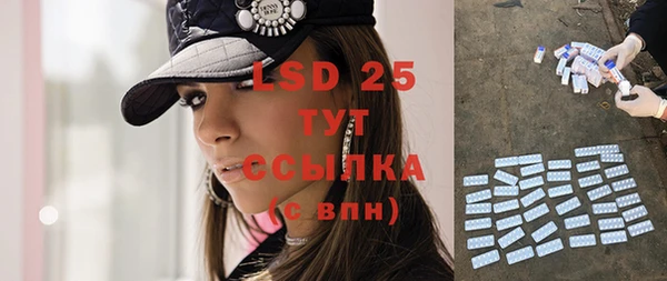 шишки Белокуриха