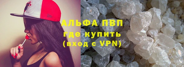 шишки Белокуриха