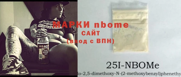 шишки Белокуриха