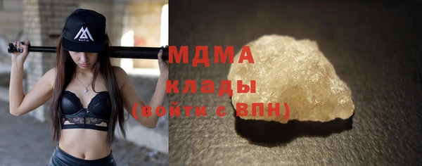 шишки Белокуриха