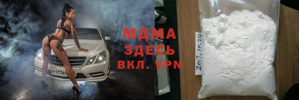 шишки Белокуриха