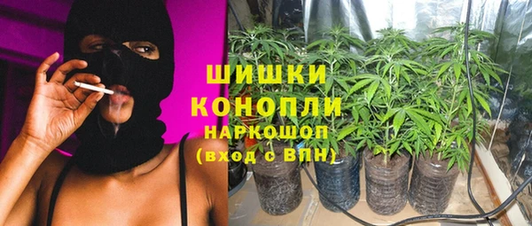 шишки Белокуриха