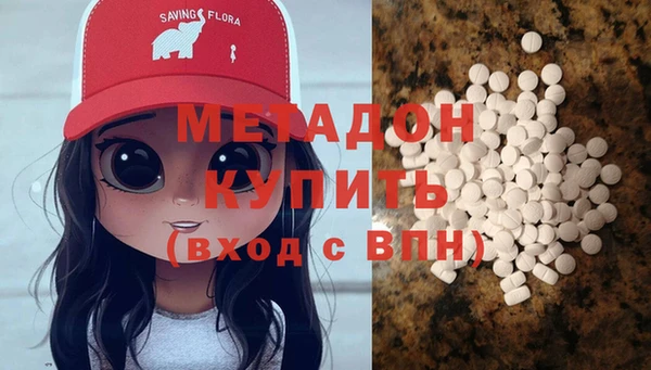 шишки Белокуриха