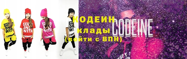 шишки Белокуриха