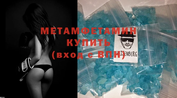 шишки Белокуриха